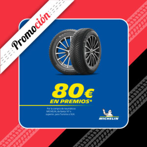 Neumaticos de invierno Michelin en Expotyre