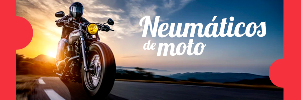 Moto Moto